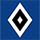Hamburger SV